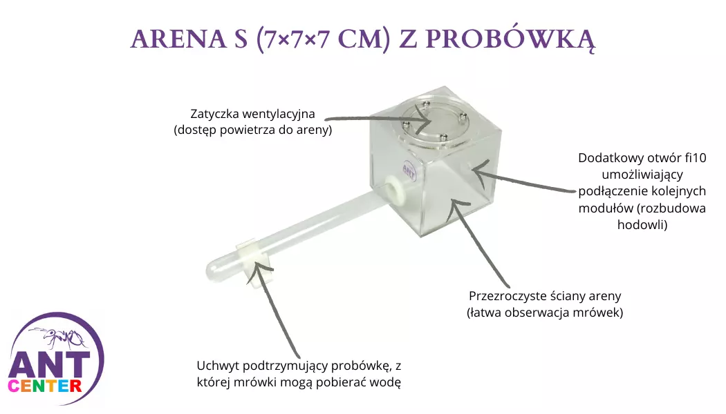 Mini terrarium dla mrówek od AntCenter