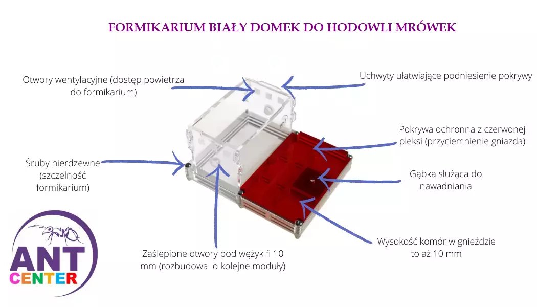 Formikarium dla mrówek Biały Domek