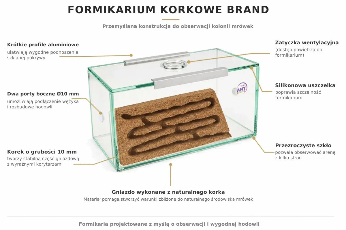 Formikarium korkowe Brand opis techniczny