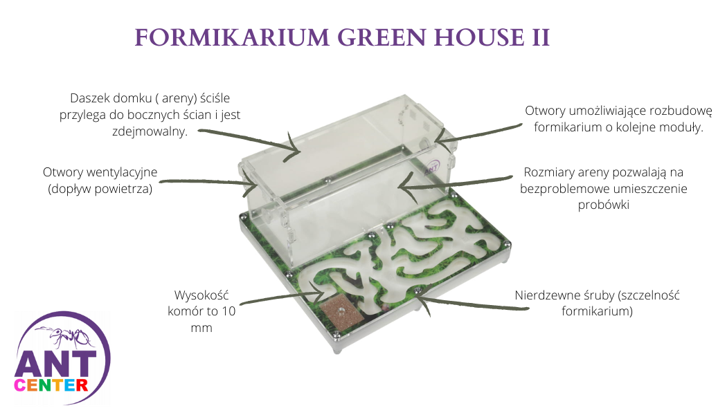 Formikarium dla mrówek Greem House