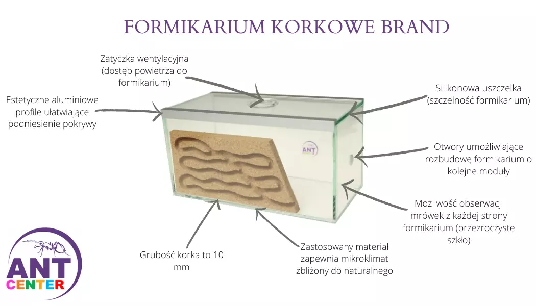 Formikarium Brand do hodowli mrówek