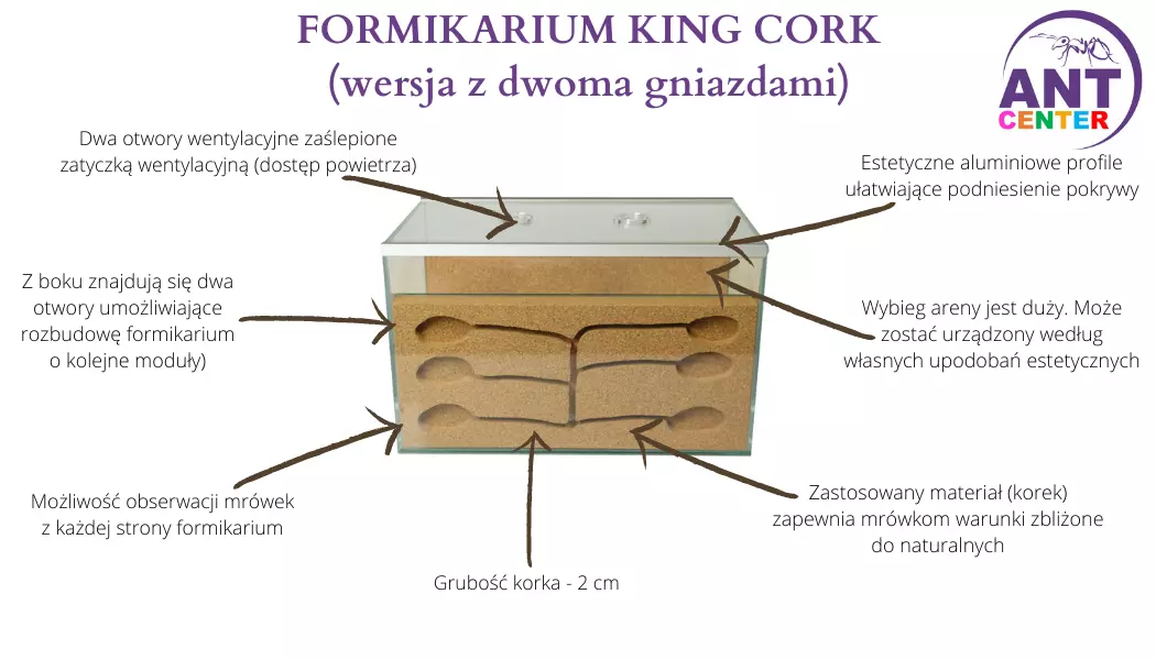 Terrarium dla mrówek King Cork